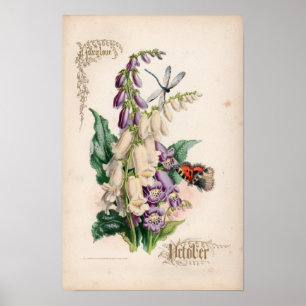 Botanical Engravings, October Poster