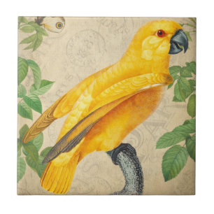 Botanical Exotic Wildlife Yellow Jungle Parrot Ceramic Tile