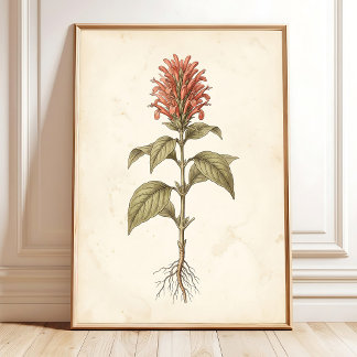 Botanical Farmhouse Wall Art