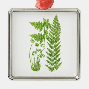 Botanical Fern Illustration No.7 Tropical Decor Metal Ornament
