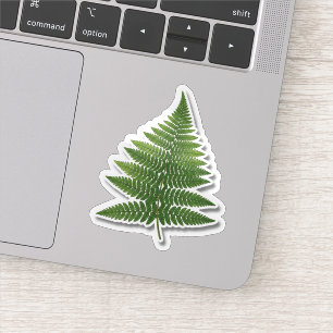Botanical Fern Leaf Sticker - Nature Green Plant 