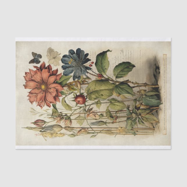 Botanical Flower Illustrations on Parchment No. 2 Tissue Paper (Front)