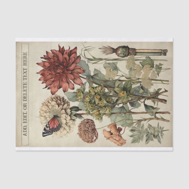 Botanical Flower Illustrations on Parchment No. 5 Tissue Paper (Front)