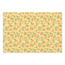 botanical fruit-growing season oranges and picnic