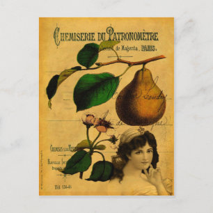 Botanical Fruit Postcard