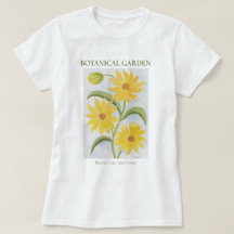 Botanical Garden Maximilian Sunflower 