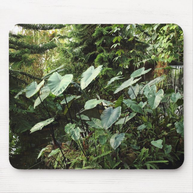 Botanical Garden Mouse Pad (Front)