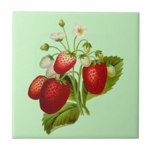 Botanical Garden Strawberry Ceramic Tile