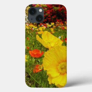 Botanical gardens at Queens Park iPhone 13 Case