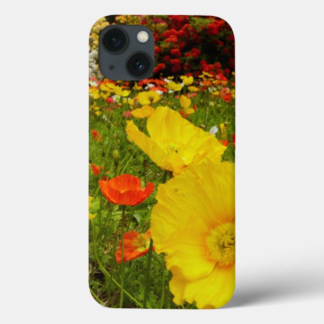 Botanical gardens at Queens Park Case-Mate iPhone Case (Back)