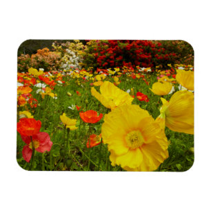 Botanical gardens at Queens Park Magnet