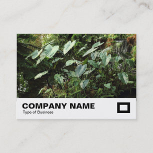 Botanical Gardens Business Card