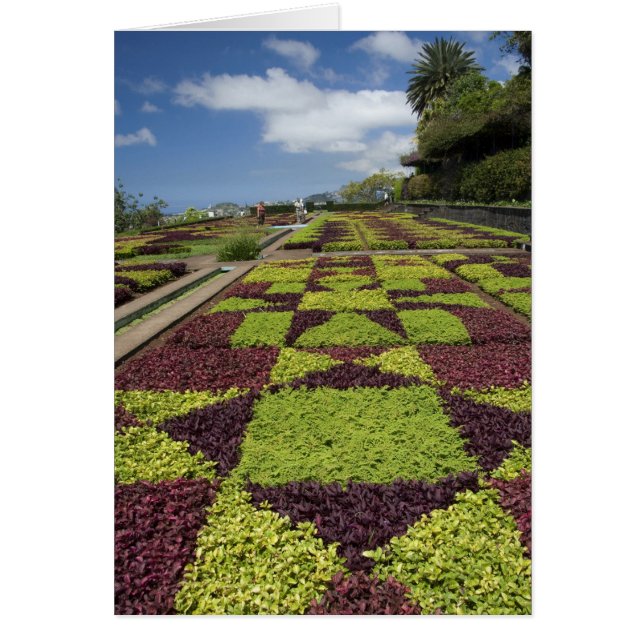 Botanical Gardens, Funchal, Madeira Islands, (Front)