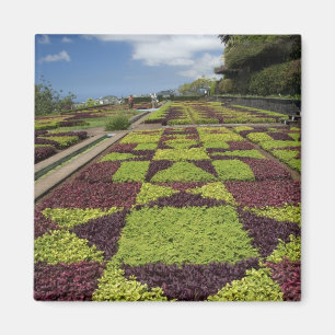 Botanical Gardens, Funchal, Madeira Islands, Magnet