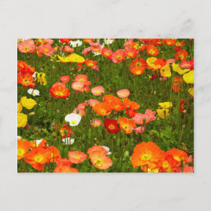 Botanical gardens postcard