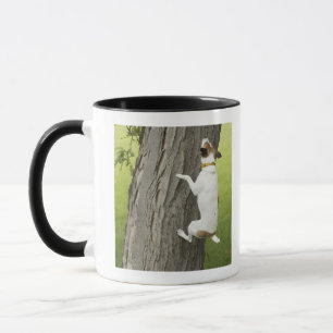 Botanical Gardens, Sydney, New South Wales, 4 Mug