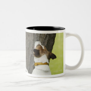 Botanical Gardens, Sydney, New South Wales, 4 Two-Tone Coffee Mug