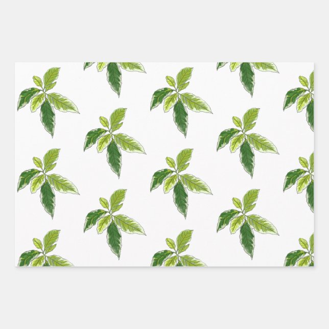 Botanical Gift Wrap (Front)