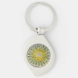 Botanical Globe Cactus Plant Photo Key Ring