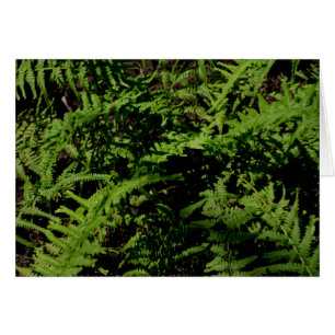 Botanical green Forest Floor Ferns