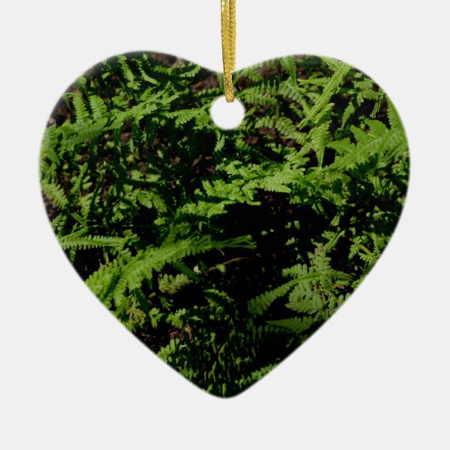 Botanical green Forest Floor Ferns Ceramic Ornament (Front)