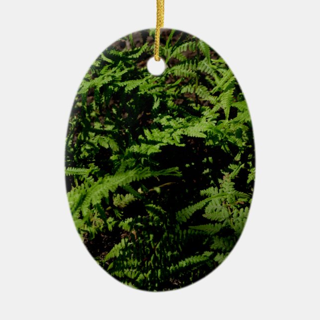 Botanical green Forest Floor Ferns Ceramic Ornament (Front)