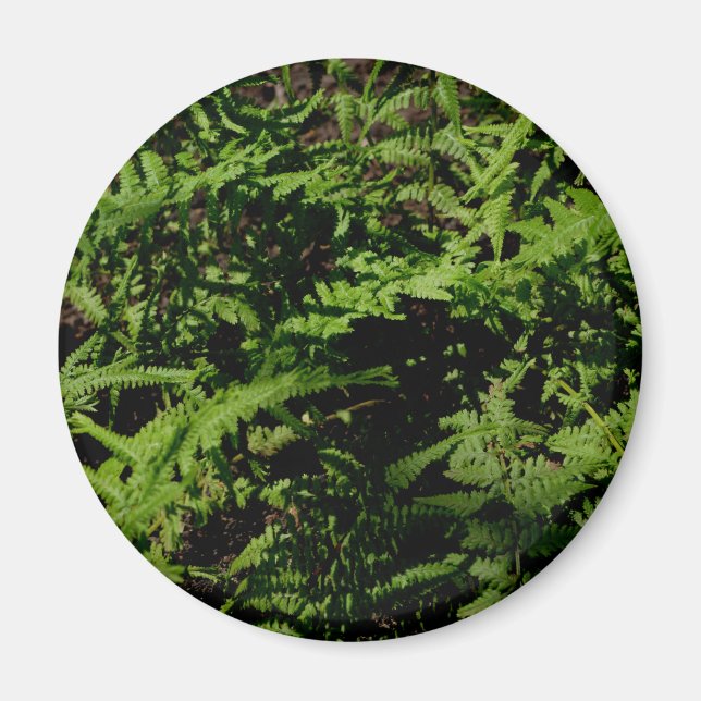 Botanical green Forest Floor Ferns Magnet (Front)