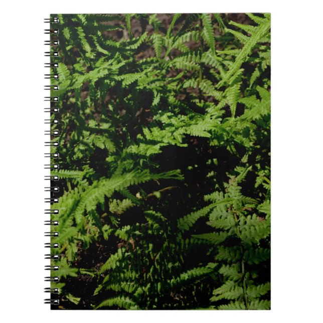 Botanical green Forest Floor Ferns Notebook (Front)