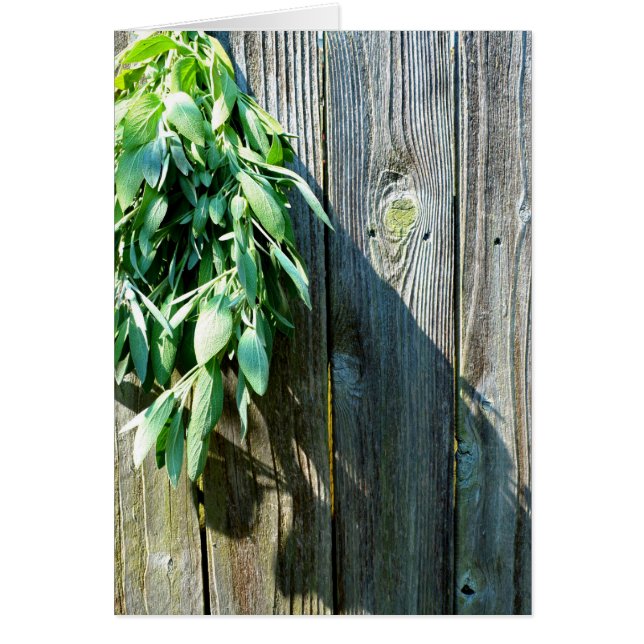 Botanical green herbs distressed wood grain (Front)