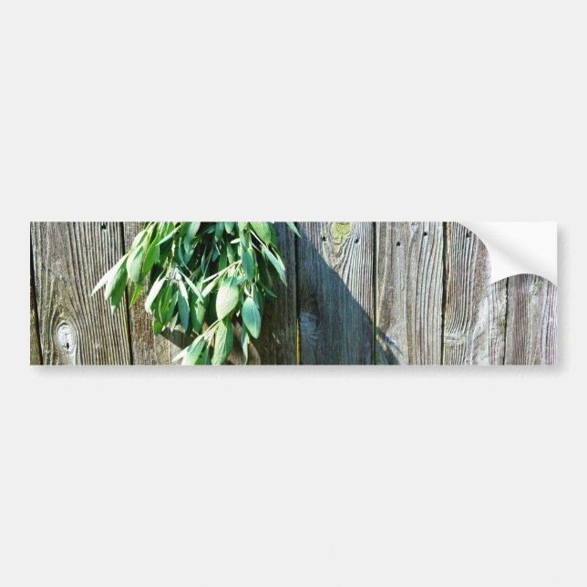 Botanical green herbs distressed wood grain bumper sticker (Front)