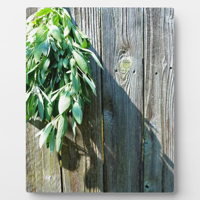 Botanical green herbs distressed wood grain plaque (Front)
