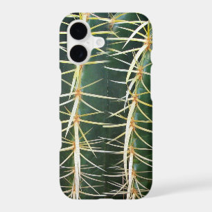 Botanical Green Sphere Cactus