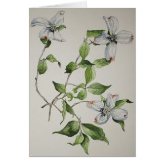 Botanical greeting cards