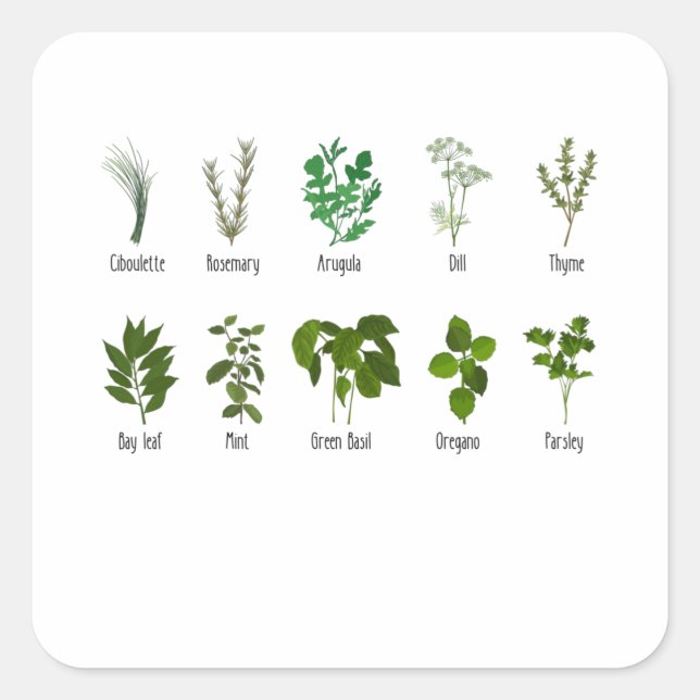 Botanical Herbs Herbalist Gift Garden Birthday Square Sticker (Front)