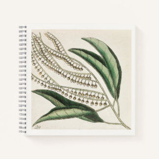 Botanical Illustration 18th Century Art Notebook