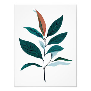 Botanical Illustration: Bay Leaves Photo Print