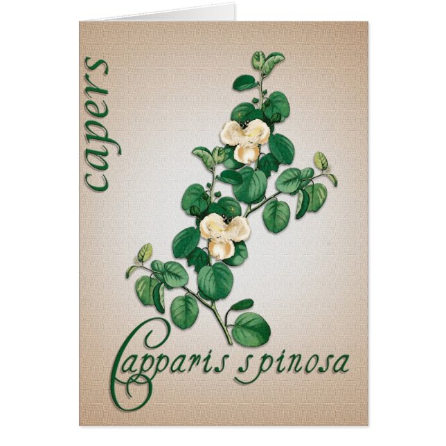Botanical illustration of Capers blank card (Front)