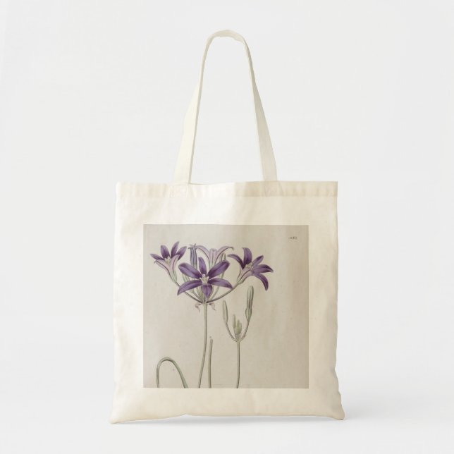 Botanical Illustration of Swallowtail Flowers Tote Bag (Front)