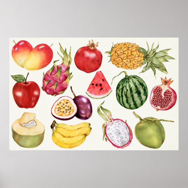 Botanical Illustration Poster (Front)