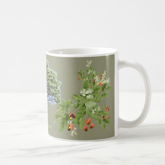 Botanical illustration trend Copaíba khaki Coffee Mug (Right)