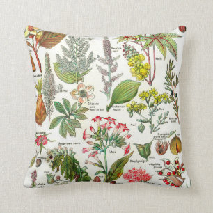Botanical Illustrations Cushion