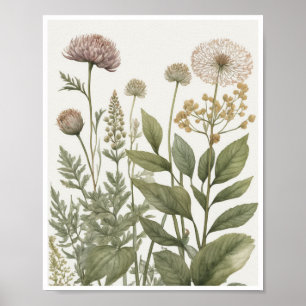 botanical illustrations intricate patterns texture poster