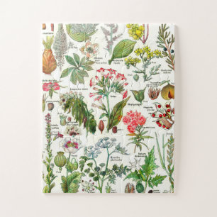 Botanical Illustrations Jigsaw Puzzle