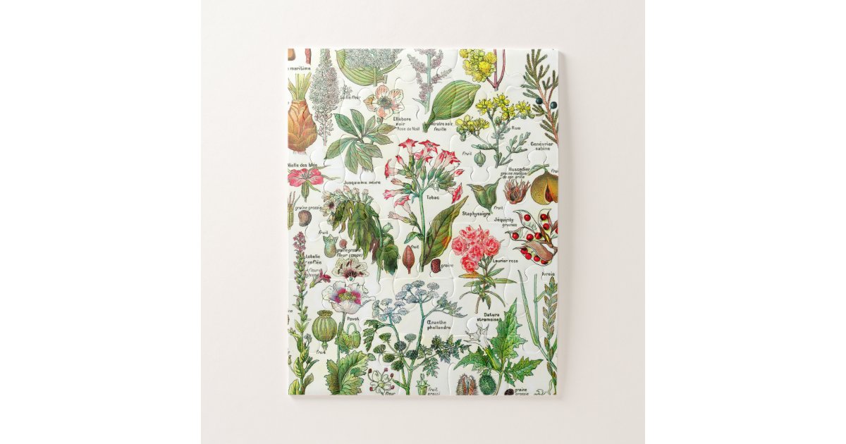 Botanical Illustrations Jigsaw Puzzle
