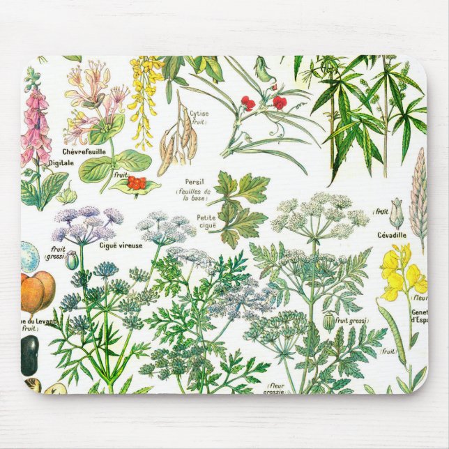 Botanical Illustrations - Larousse Plants Mouse Pad (Front)