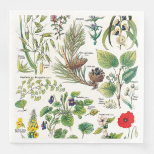 Botanical Illustrations Napkin