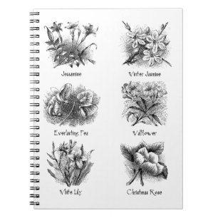 Botanical illustrations notebook