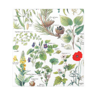 Botanical Illustrations Notepad
