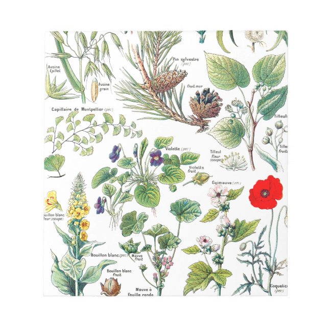 Botanical Illustrations Notepad (Front)