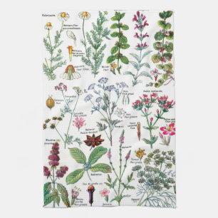 Botanical Illustrations Tea Towel